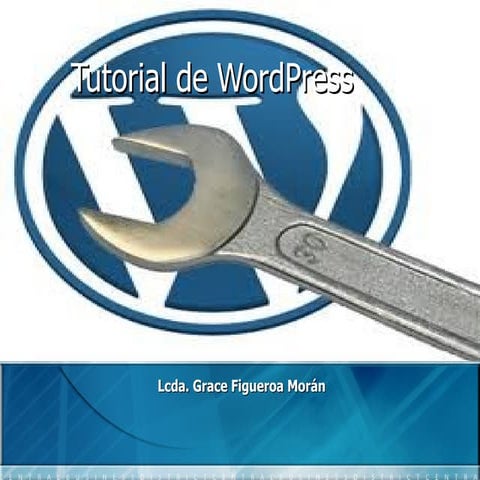 Manual wordpress