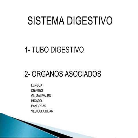 HISTOLOGIA NORMAL SISTEMA DIGESTIVO