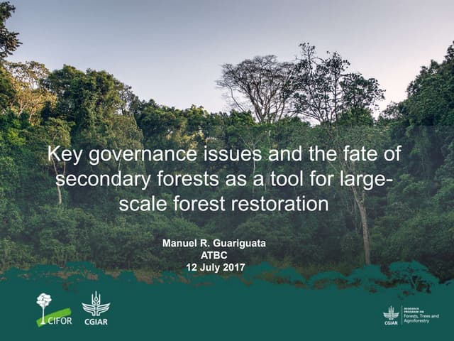 Key governance issues and the fate of secondary forests as a tool for large-scale forest restoration