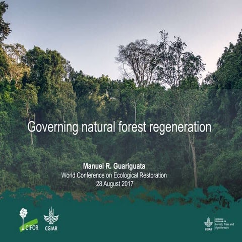 Governing natural forest regeneration