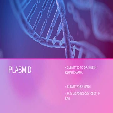 plasmid 