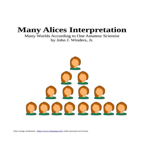 Many Alices Interpretation - Many Worlds According to One Amateur Scientist