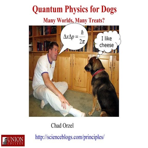 Quantum Physics for Dogs: Many Worlds, Many Treats?