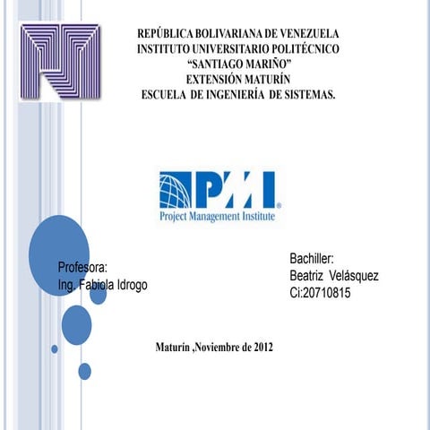 Mapa conceptual de pmi | PPTX
