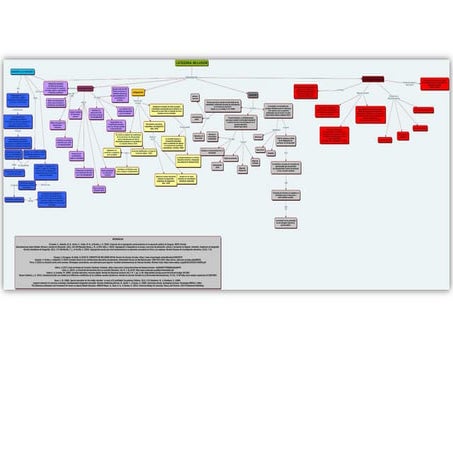 Mapa conceptual Inclusión. Subcategorías de la inclusión | PDF