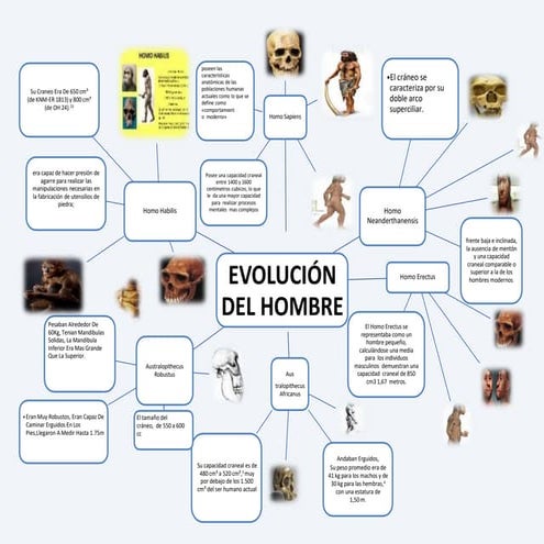Album de la evolucion del Hombre.pdf