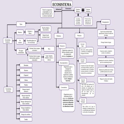 Mapa conceptual de los ecosistemas | PPTX