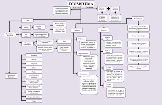 Mapa conceptual de los ecosistemas | PPT