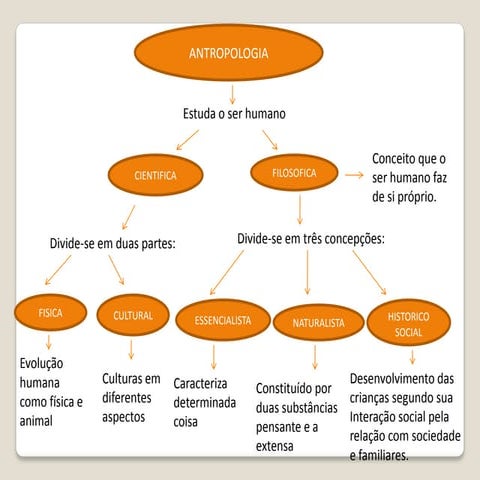 Mapa conceitual antropologia 2 | PDF