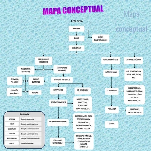 Hoja De Trabajo Con Mapa Conceptual De Ecosistemas Los Ecosistemas
