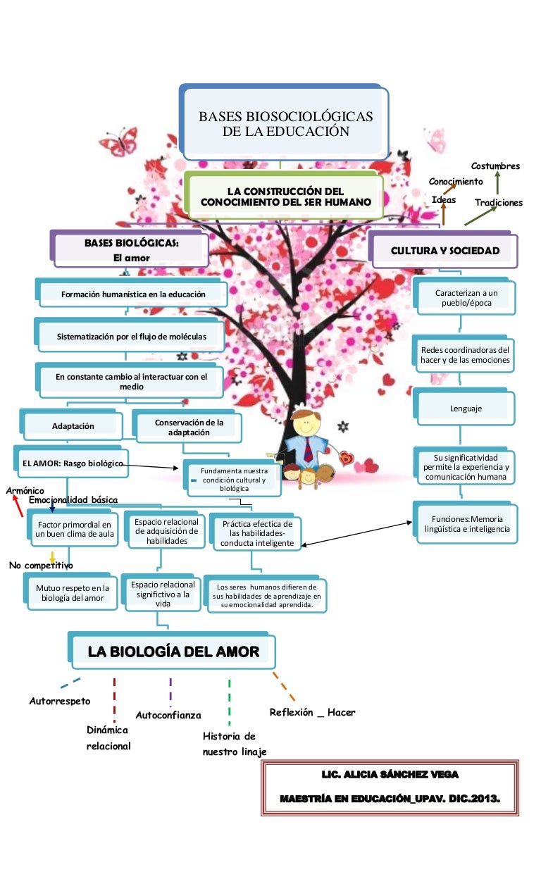 Mapa conceptual