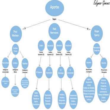 Mapa conceptual sobre los modelos de Sperry, Maclean, Herman