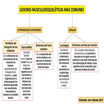 Mapa Conceptual - Lesiones Musculoesqueleticas.pptx