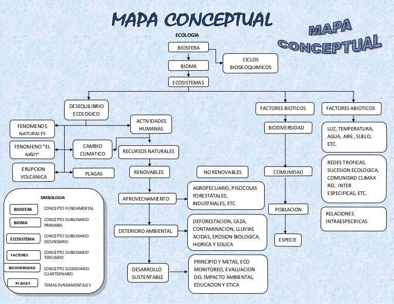 Mapa conceptual.. luisa