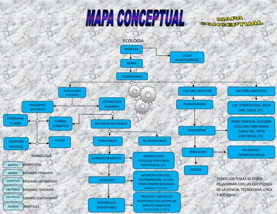 Hoja De Trabajo Con Mapa Conceptual De Ecosistemas Los Ecosistemas