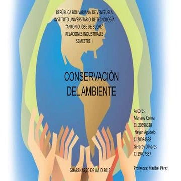 Mapa conceptual c. ambiente i