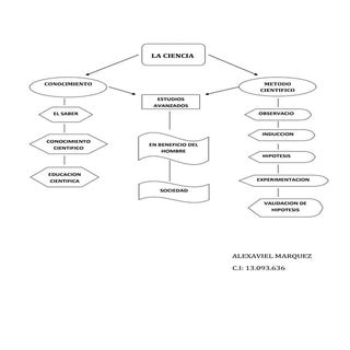 Mapa conceptual ciencia y conocimie...