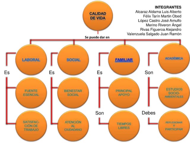 Mapa conceptual de calidad de vida | PDF