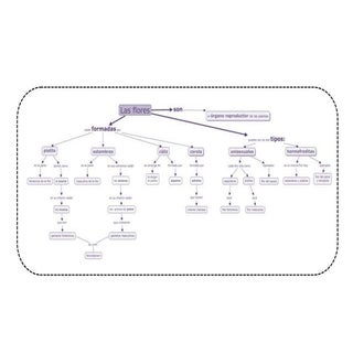 Mapa conceptual de las flores y su ...