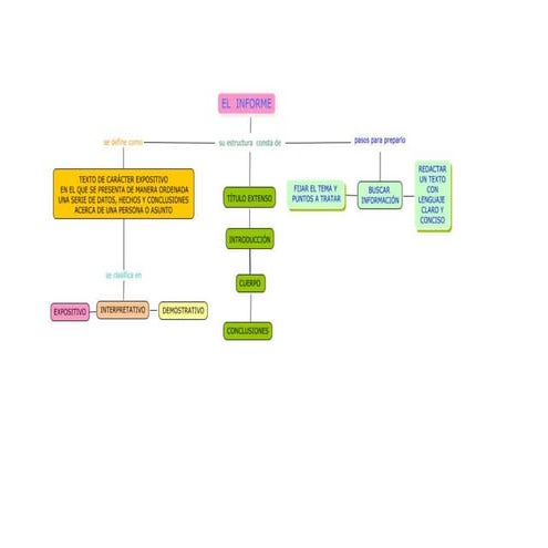 Mapa conceptual del informe
