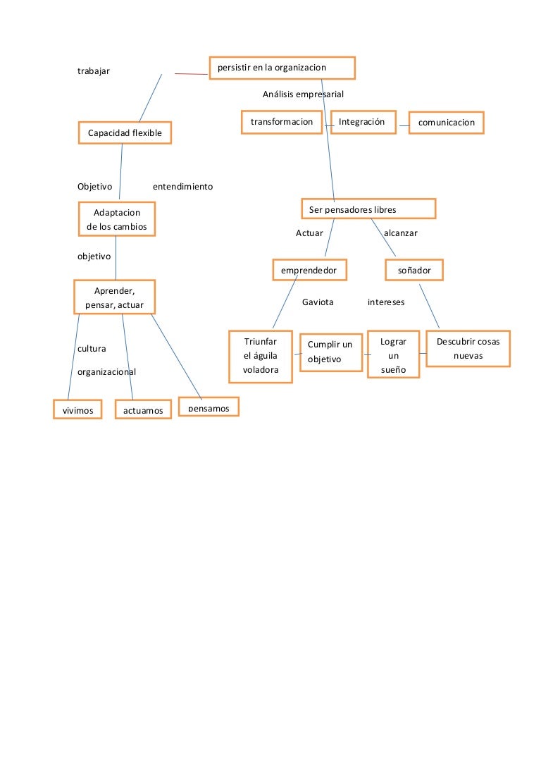 Mapa conceptual del libro gaviota