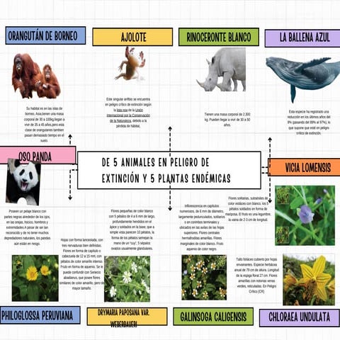 animales endemicas y plantas en peligro de extincion | PDF