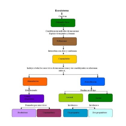 Hoja De Trabajo Con Mapa Conceptual De Ecosistemas Los Ecosistemas