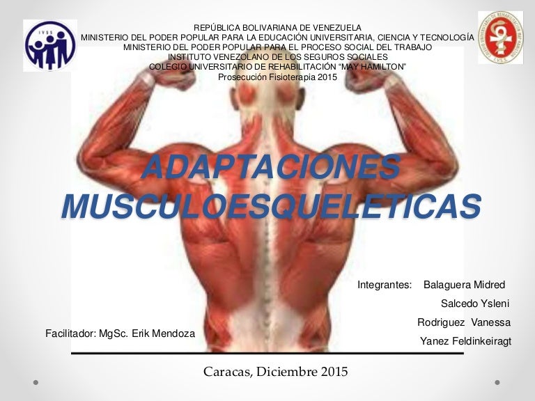 huso muscular y organo tendinoso de golgi slideshare