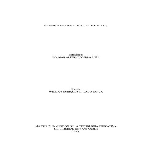 Mapa conceptual gerencia de proyectos