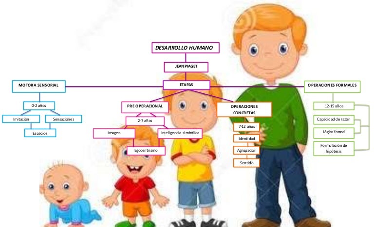 Etapas Del Desarrollo Segun jean piaget