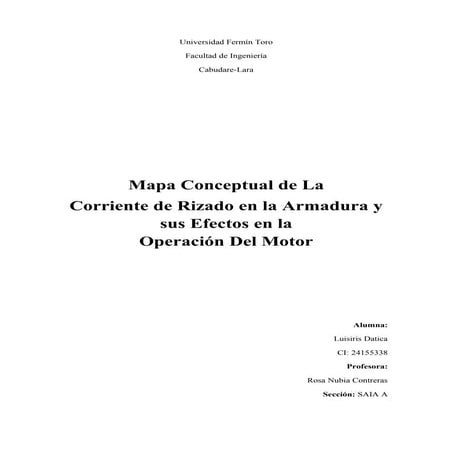 Mapa conceptual luisiris datica