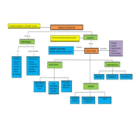 Mapa conceptual maestria 