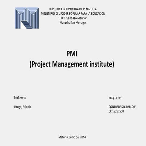 Mapa conceptual PMI | PPTX
