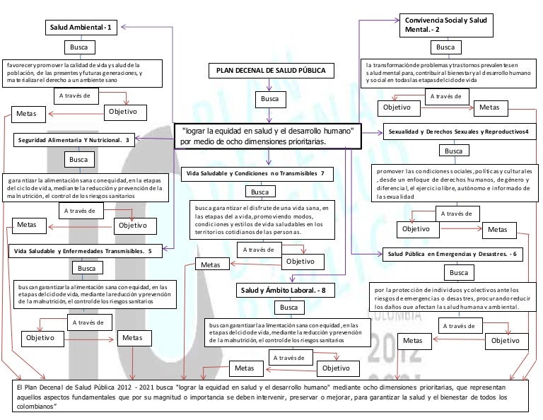 Mapa conceptual plan decenal de salud pública