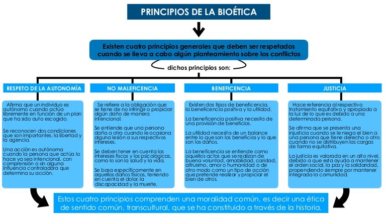 PRINCIPIOS DE LA BIOETICA
