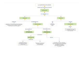Mapa conceptual relación