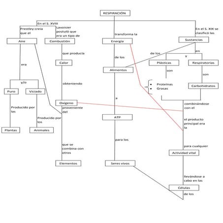 Mapa conceptual respiración 1