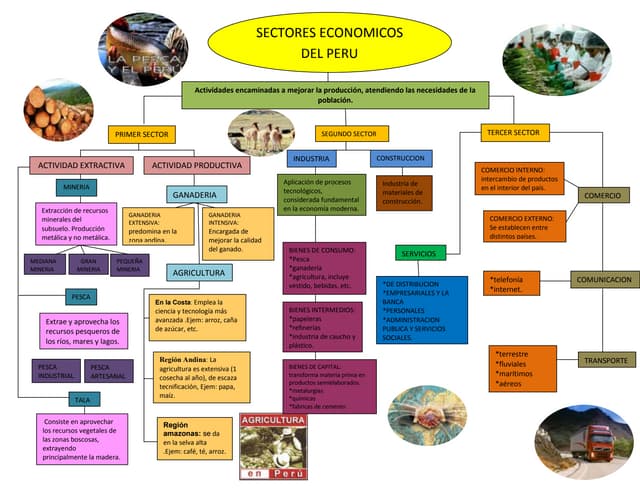 Mapa Conceptual De La Agricultura En Colombia www.eurospintos.lt