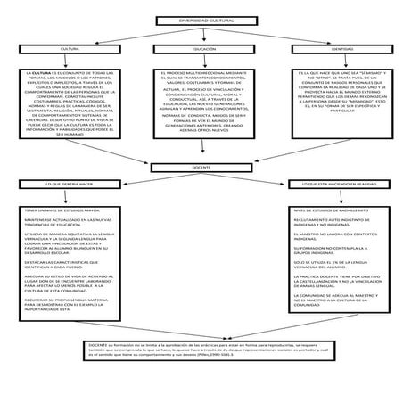 Mapa cpnceptual de diversidad cultural
