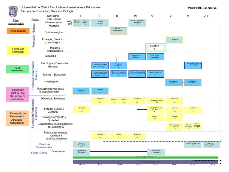 Mapas Curriculares Ingles