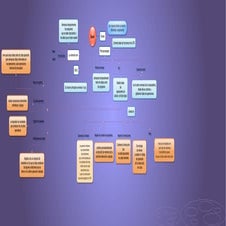 Mapa conceptual  de board