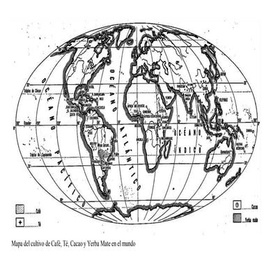 Mapa del cultivo en el mundo de café, te, cacao y yerba mate