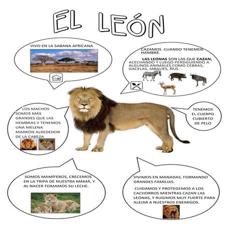 Mapa el leon