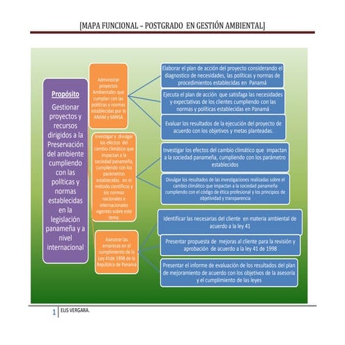Mapa funcional  elis vergara.postgrado  gestión ambiental
