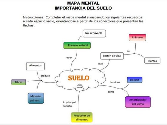 Hoja De Trabajo Con Mapa Conceptual De Ecosistemas Los Ecosistemas