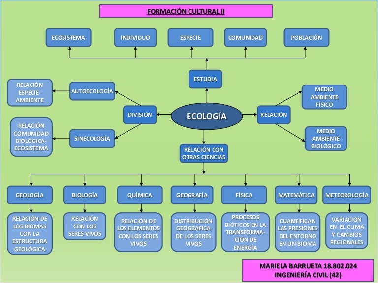Mapa mental