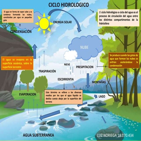 Mapa mental ciclo hidrologico