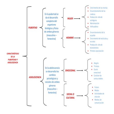 Mapa mental de caracteristicas la  pubertad lou