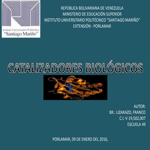 Mapa mental de catalizadores biologicos
