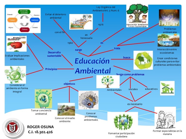 Mapa mental educacion ambiental